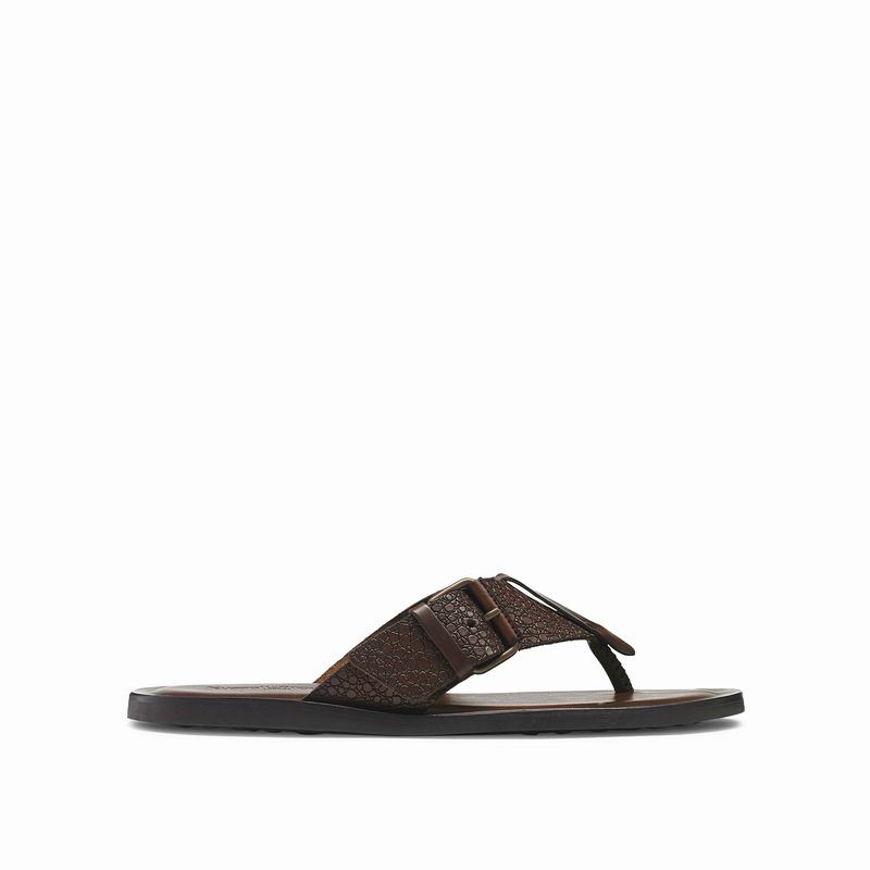 Russell And Bromley Buckle Up Muške Sandale Smeđe | PIU9127IL