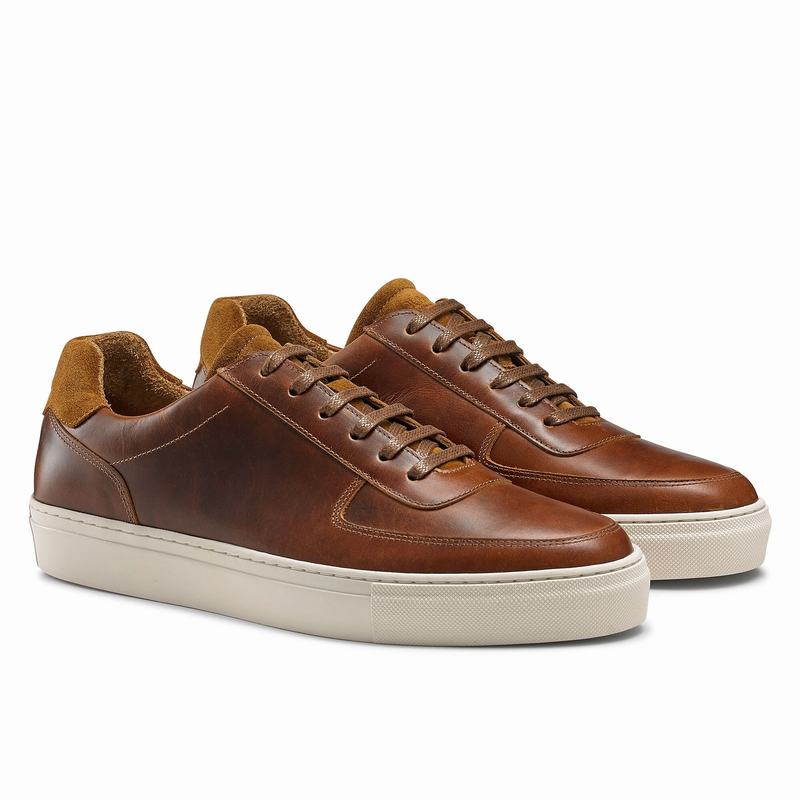 Russell And Bromley Outfield Muške Niske Tenisice Smeđe | MFU823SQ