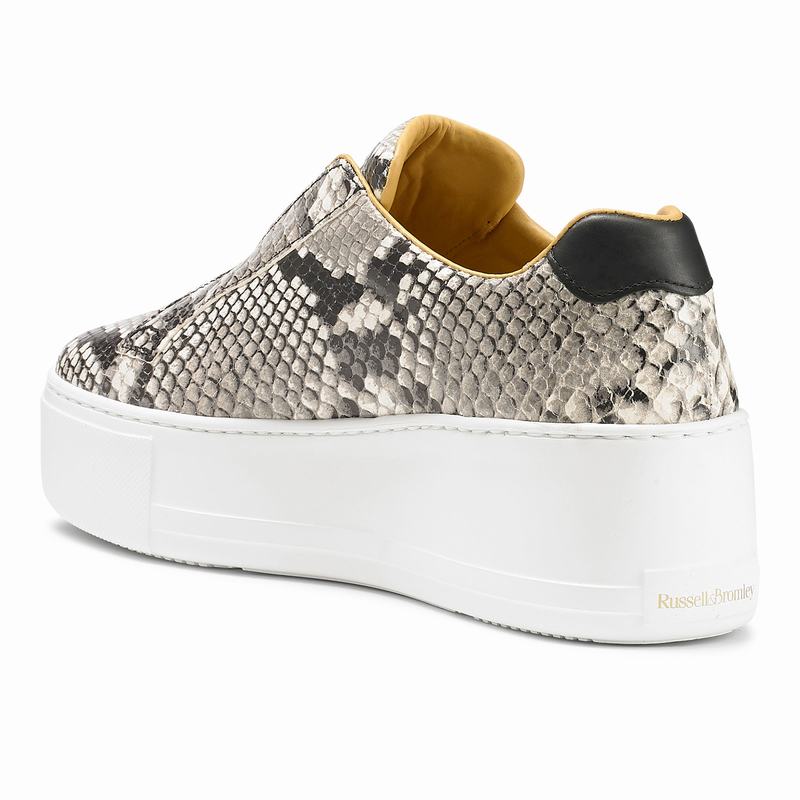 Russell And Bromley Park Up Ženske Tenisice s Platformom Visebojne | GGI6518ED