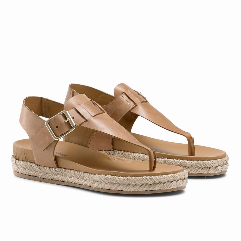 Russell And Bromley Surfside Ženske Espadrile Smeđe | VJC2724SY